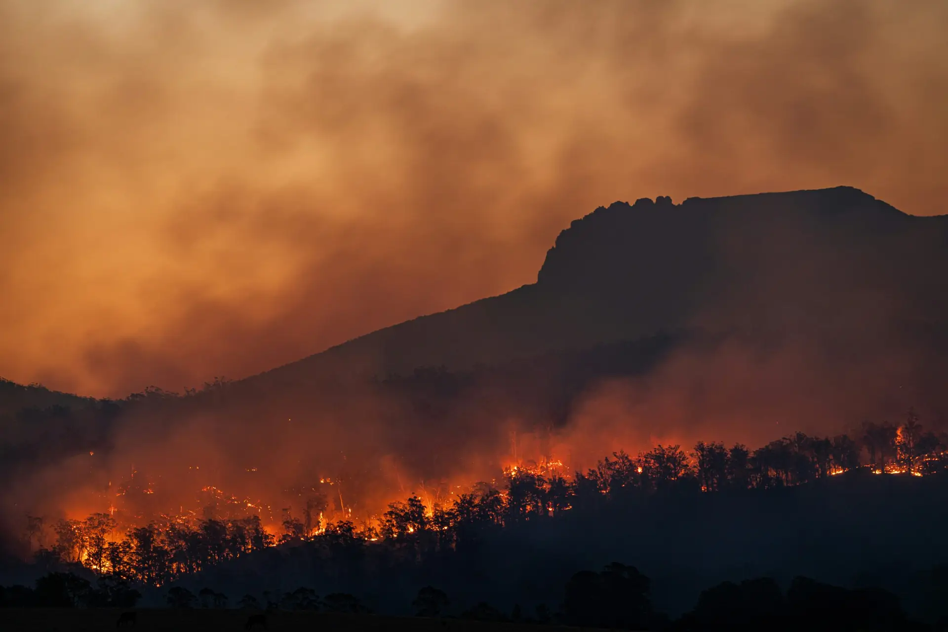 Réchauffement climatique : Une urgence mondiale à décrypter
