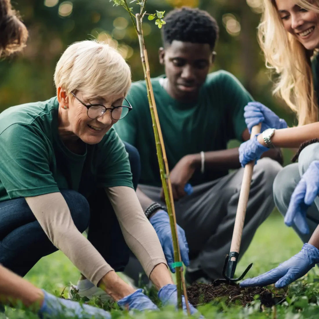 Engagement RSE HQE One Tree Planted reforestation environnement