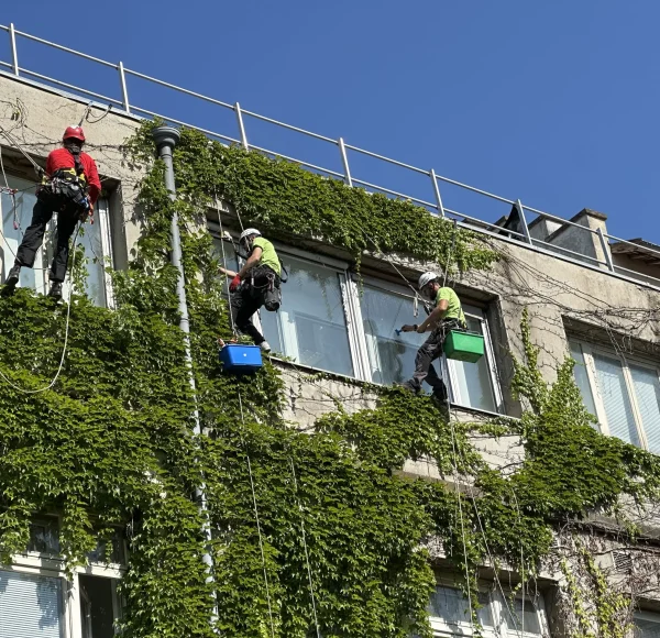 Pose professionnelle de film adhésif pour vitre en hauteur par un cordiste qualifié, équipé de harnais de sécurité. L’expert applique un film solaire sur la façade vitrée d’un immeuble de bureaux, optimisant la protection solaire, l’isolation thermique et la sécurité des fenêtres en milieu urbain.